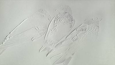F浮雕 (22)_92b61a0c1413.jpg